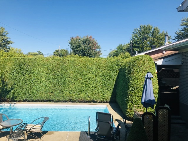 taille-de-haie